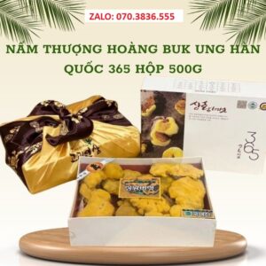 Nấm Thượng Hoàng Buk Ung Hàn Quốc 365 Hộp 500g