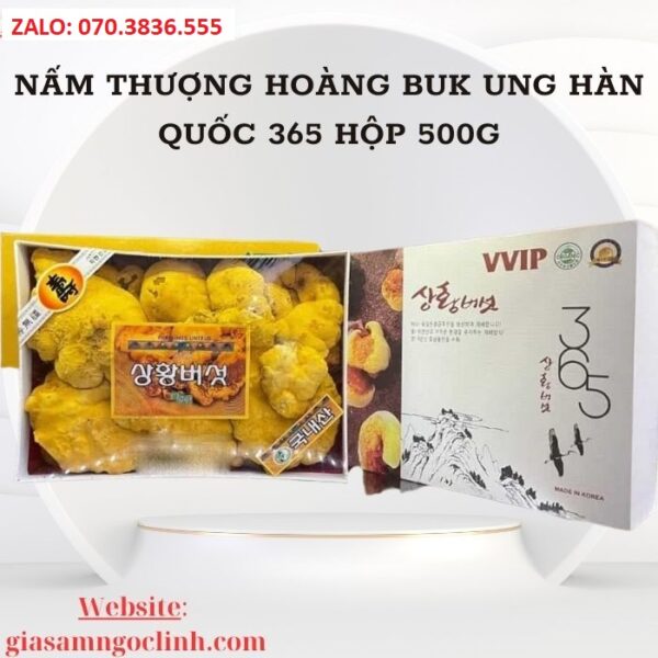 Nấm Thượng Hoàng Buk Ung Hàn Quốc 365 Hộp 500g