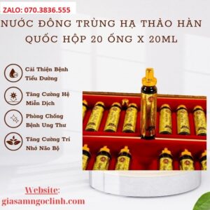 Nuoc Dong Trung Ha Thao Han Quoc Hop 20 Ong x 20ml 1
