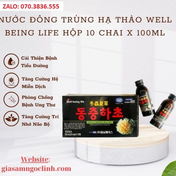Nước Đông Trùng Hạ Thảo Well Being Life Hộp 10 Chai x 100ml
