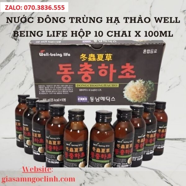 Nước Đông Trùng Hạ Thảo Well Being Life Hộp 10 Chai x 100ml