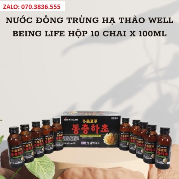 Nước Đông Trùng Hạ Thảo Well Being Life Hộp 10 Chai x 100ml