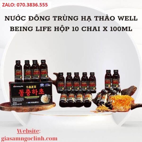 Nước Đông Trùng Hạ Thảo Well Being Life Hộp 10 Chai x 100ml