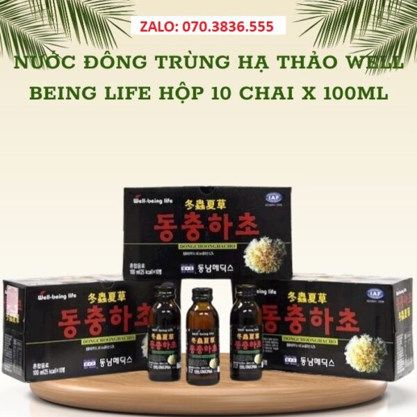 Nước Đông Trùng Hạ Thảo Well Being Life Hộp 10 Chai x 100ml