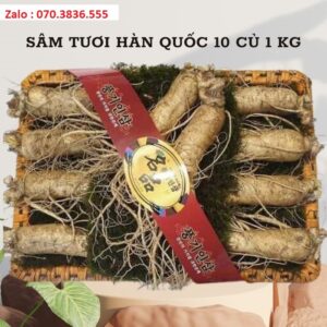 Sâm Tươi Hàn Quốc 10 Củ 1 kg Sam Tuoi Han Quoc 10 Cu 1 kg 3