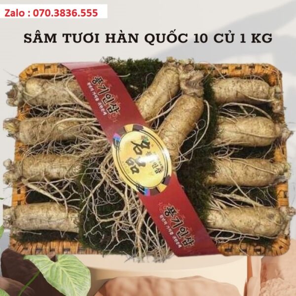 Sâm Tươi Hàn Quốc 10 Củ 1 kg