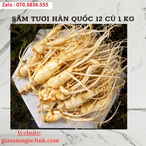 Sâm Tươi Hàn Quốc 12 Củ 1 kg