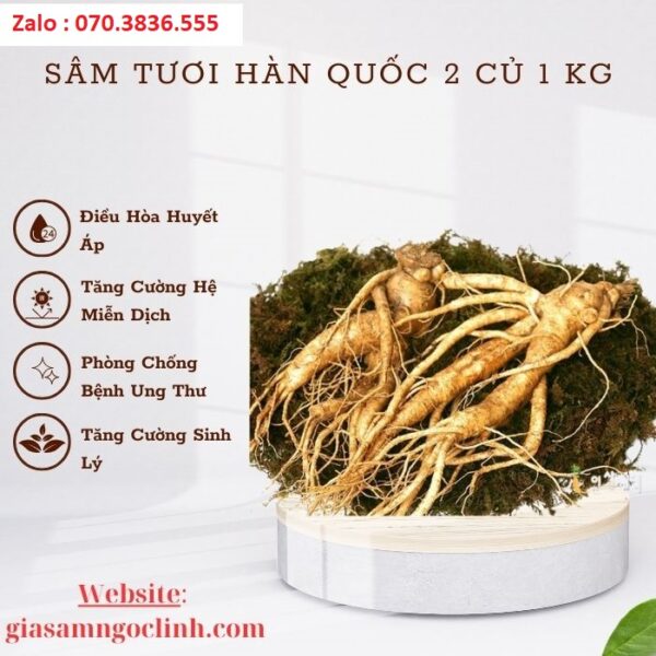 Sâm Tươi Hàn Quốc 2 Củ 1 kg