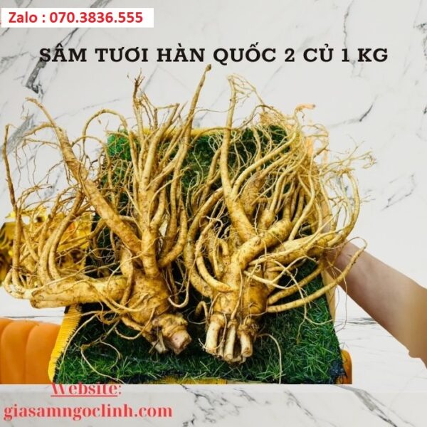 Sâm Tươi Hàn Quốc 2 Củ 1 kg