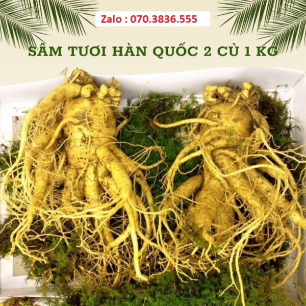 Sâm Tươi Hàn Quốc 2 Củ 1 kg
