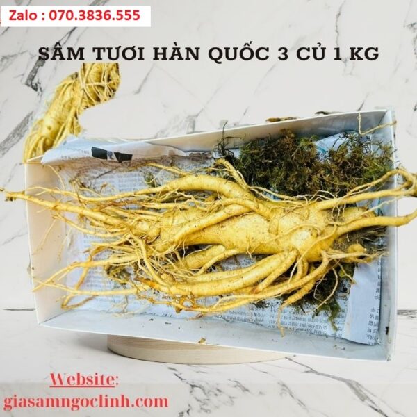 Sâm Tươi Hàn Quốc 3 Củ 1 kg
