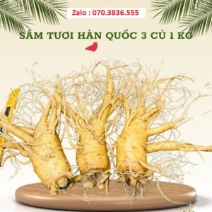 Sâm Tươi Hàn Quốc 3 Củ 1 kg