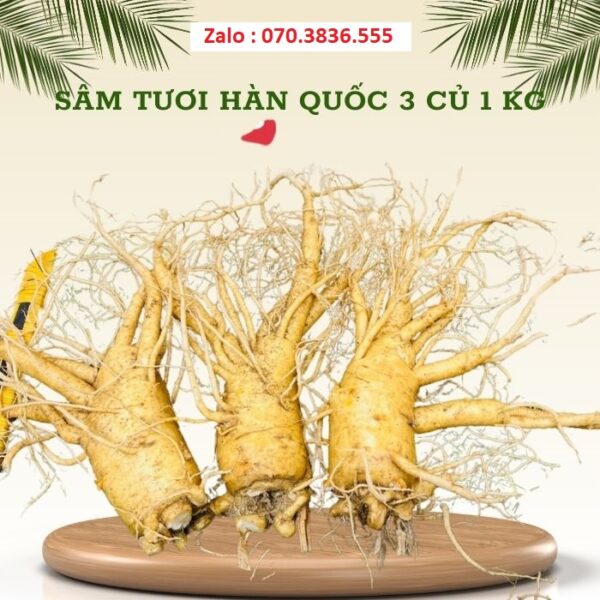 Sâm Tươi Hàn Quốc 3 Củ 1 kg