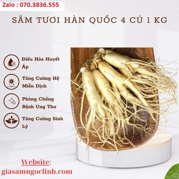 Sâm Tươi Hàn Quốc 4 Củ 1 kg