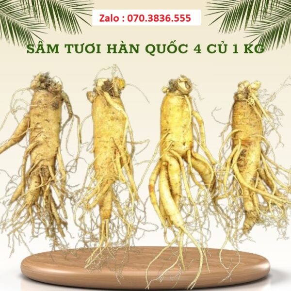 Sâm Tươi Hàn Quốc 4 Củ 1 kg