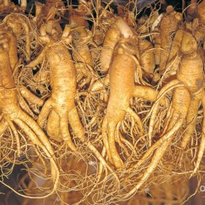 Sam Tuoi Han Quoc 5 Cu 1 kg 4