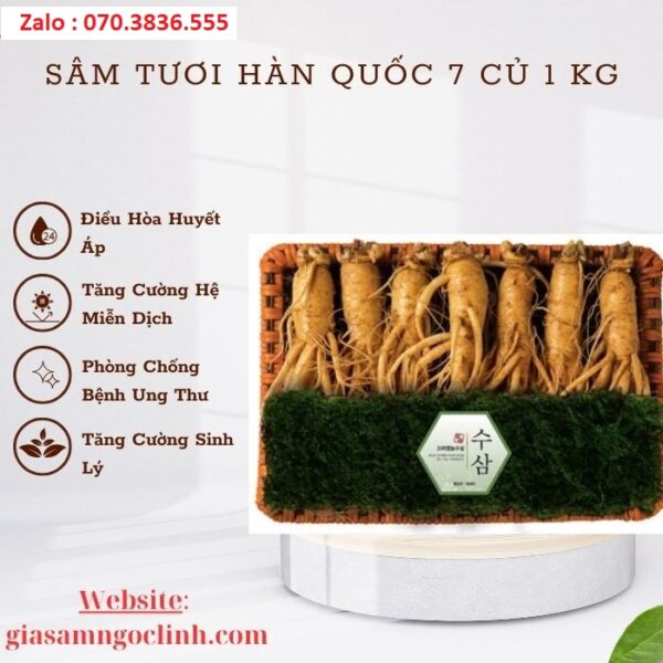 Sâm Tươi Hàn Quốc 7 Củ 1 kg