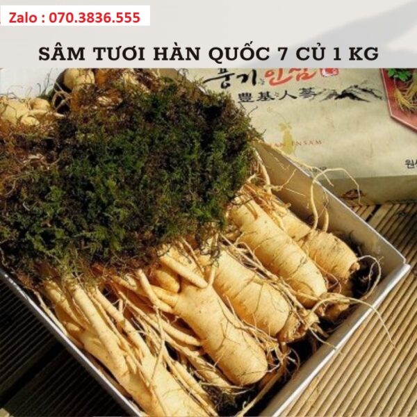 Sâm Tươi Hàn Quốc 7 Củ 1 kg