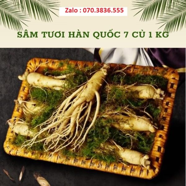 Sâm Tươi Hàn Quốc 7 Củ 1 kg