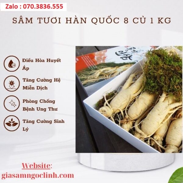Sâm Tươi Hàn Quốc 8 Củ 1 kg