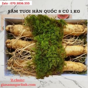 Sam Tuoi Han Quoc 8 Cu 1 kg 2