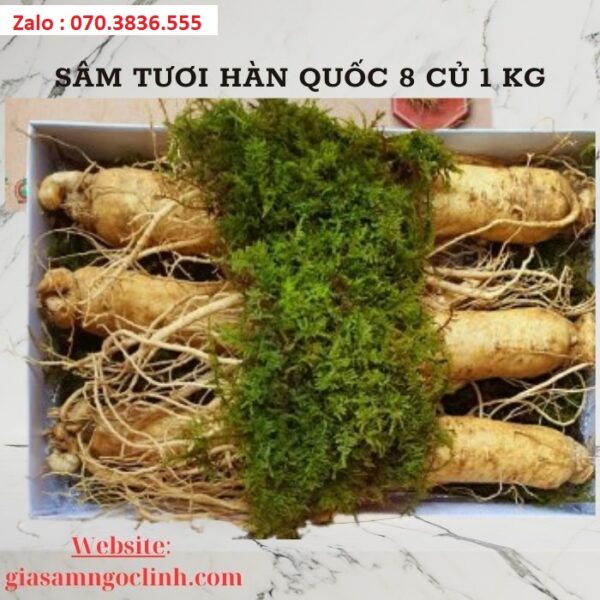 Sâm Tươi Hàn Quốc 8 Củ 1 kg