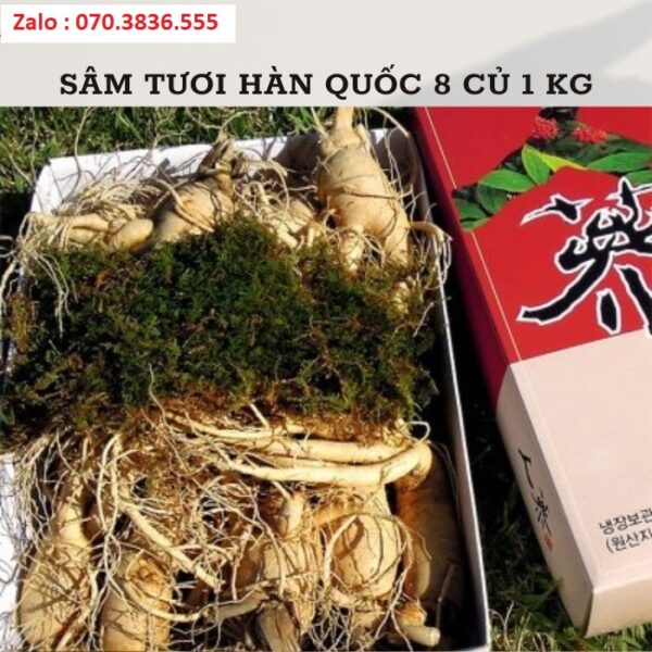 Sâm Tươi Hàn Quốc 8 Củ 1 kg
