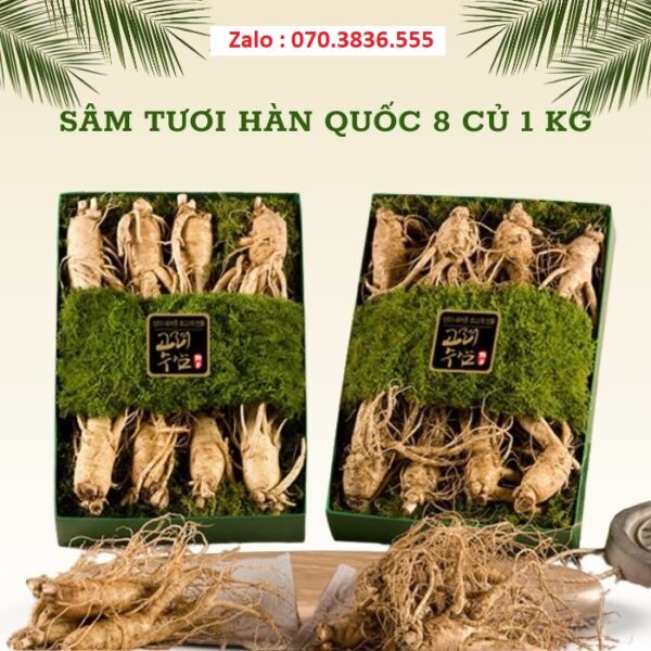 Sâm Tươi Hàn Quốc 8 Củ 1 kg