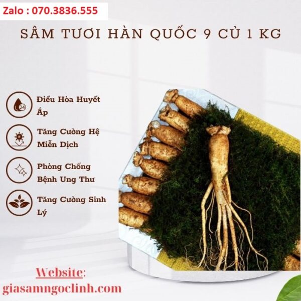 Sâm Tươi Hàn Quốc 9 Củ 1 kg