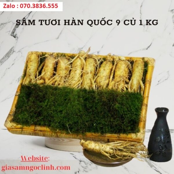 Sâm Tươi Hàn Quốc 9 Củ 1 kg