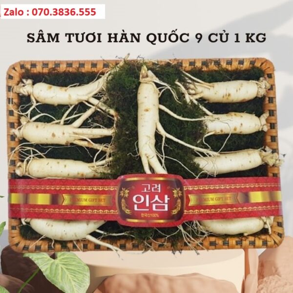 Sâm Tươi Hàn Quốc 9 Củ 1 kg