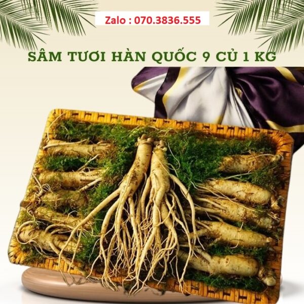 Sâm Tươi Hàn Quốc 9 Củ 1 kg