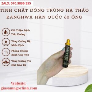 Tinh Chat Dong Trung Ha Thao Kanghwa Han Quoc 60 Ong 1