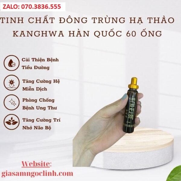 Tinh Chất Đông Trùng Hạ Thảo Kanghwa Hàn Quốc 60 Ống