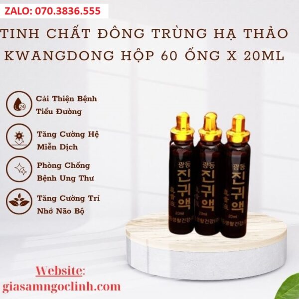 Tinh Chất Đông Trùng Hạ Thảo Kwangdong Hộp 60 ống x 20ml