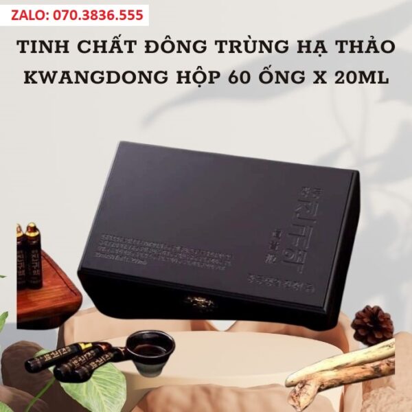 Tinh Chất Đông Trùng Hạ Thảo Kwangdong Hộp 60 ống x 20ml