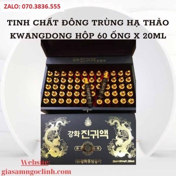 Tinh Chất Đông Trùng Hạ Thảo Kwangdong Hộp 60 ống x 20ml
