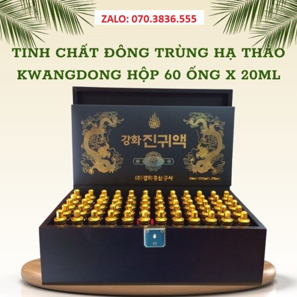 Tinh Chất Đông Trùng Hạ Thảo Kwangdong Hộp 60 ống x 20ml