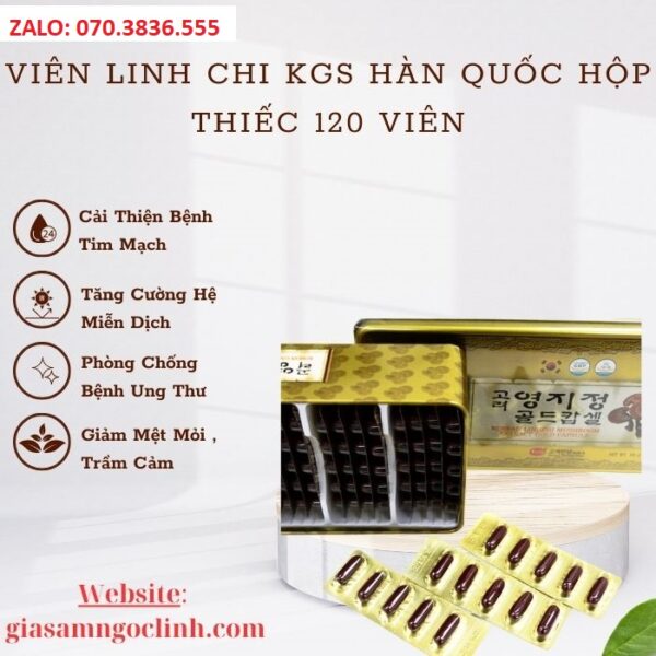 Viên Linh Chi KGS Hàn Quốc Hộp Thiếc 120 Viên