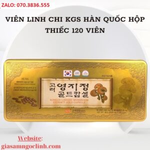 Vien Linh Chi KGS Han Quoc Hop Thiec 120 Vien 4