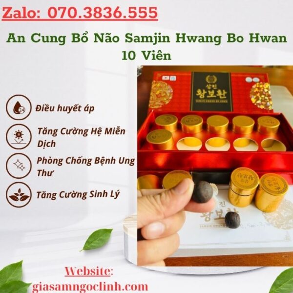 An Cung Bổ Não Samjin Hwang Bo Hwan 10 Viên