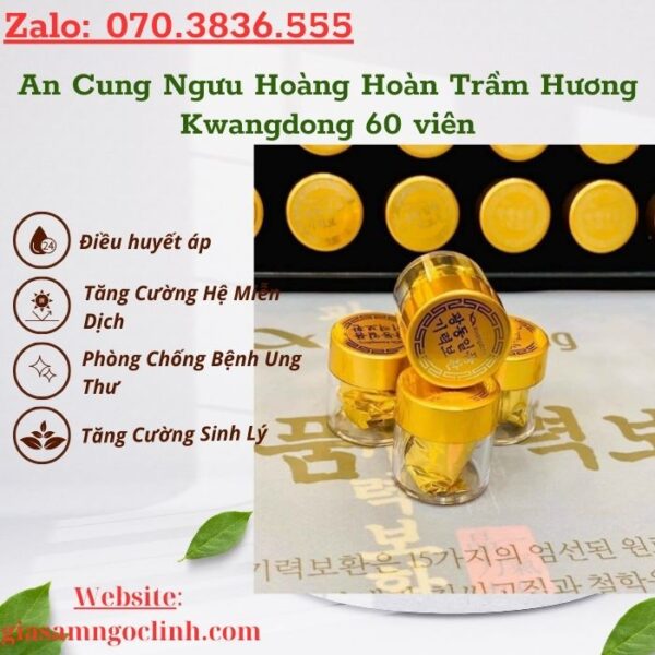 An Cung Ngưu Hoàng Hoàn Trầm Hương Kwangdong 60 viên