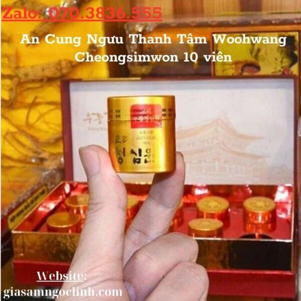 An Cung Ngưu Thanh Tâm Woohwang Cheongsimwon 10 viên