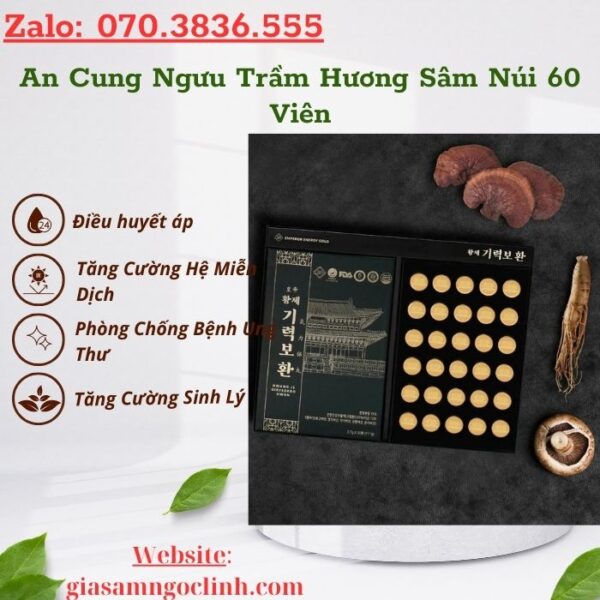 An Cung Ngưu Trầm Hương Sâm Núi 60 Viên