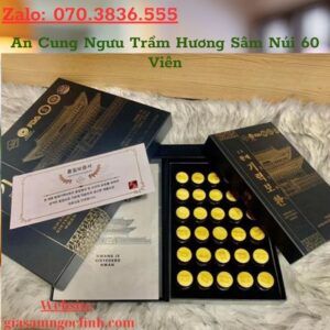 An Cung Nguu Tram Huong Sam Nui 60 Vien 2