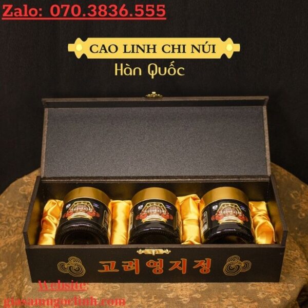 Cao Linh Chi Youngji Hàn Quốc Hộp Đen 3 lọ x 120g
