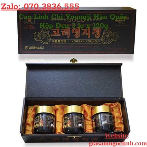 Cao Linh Chi Youngji Hàn Quốc Hộp Đen 3 lọ x 120g
