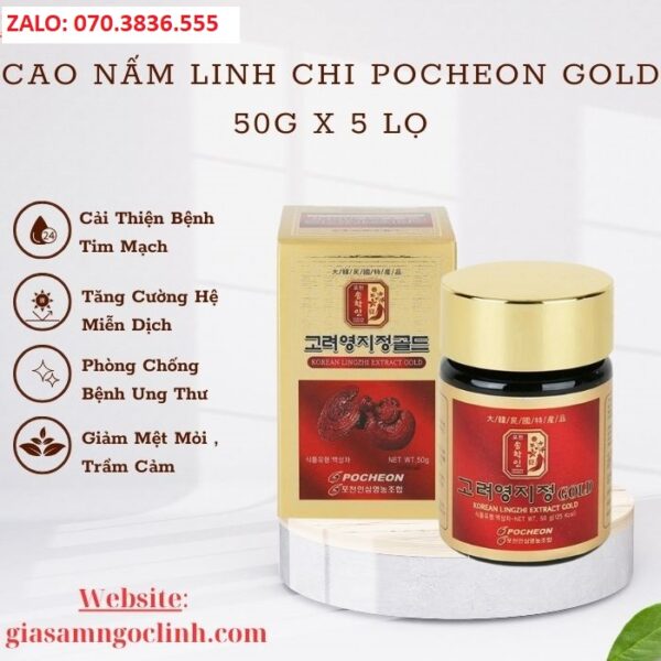 Cao Nấm Linh Chi Pocheon Gold 50g x 5 lọ