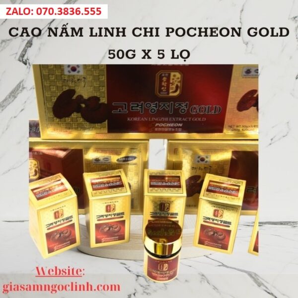 Cao Nấm Linh Chi Pocheon Gold 50g x 5 lọ