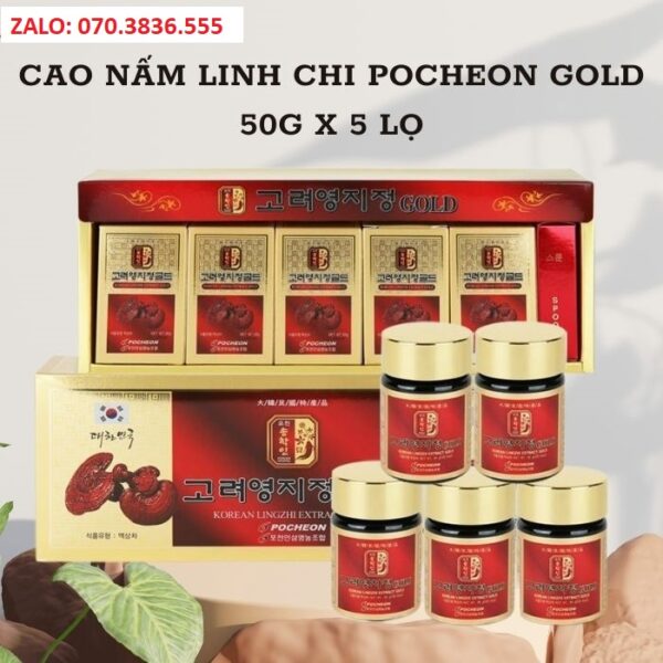 Cao Nấm Linh Chi Pocheon Gold 50g x 5 lọ
